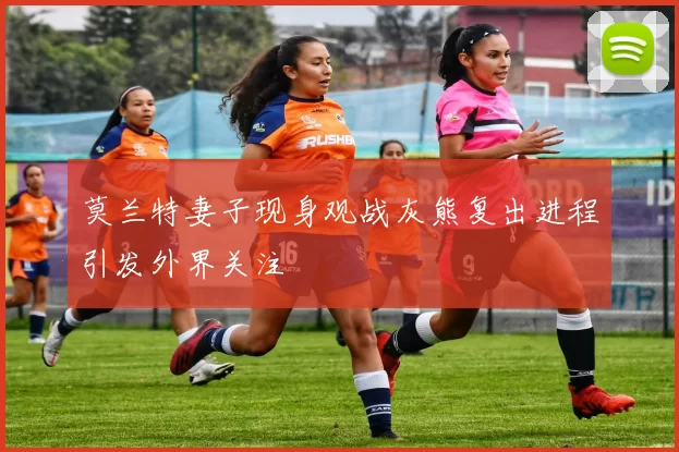 莫兰特妻子现身观战灰熊复出进程引发外界关注