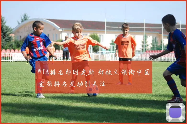 WTA排名即时更新 郑钦文领衔中国金花排名变动引关注