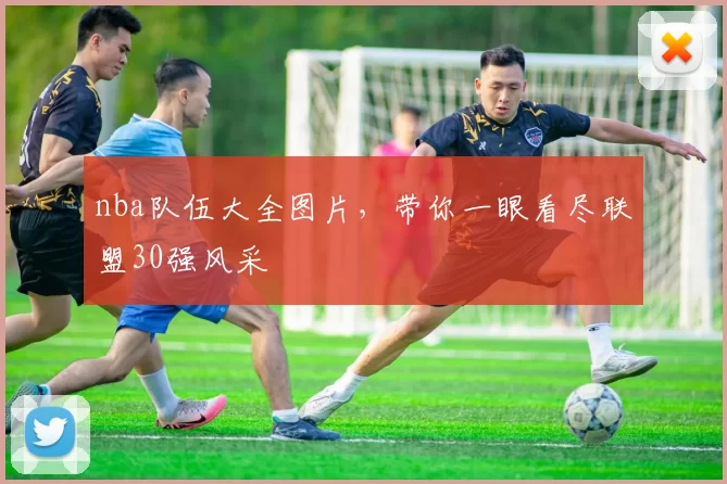 nba队伍大全图片，带你一眼看尽联盟30强风采