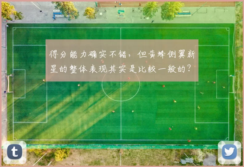 得分能力确实不错，但黄蜂侧翼新星的整体表现其实是比较一般的？