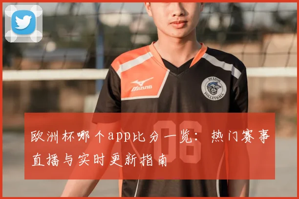 欧洲杯哪个app比分一览：热门赛事直播与实时更新指南