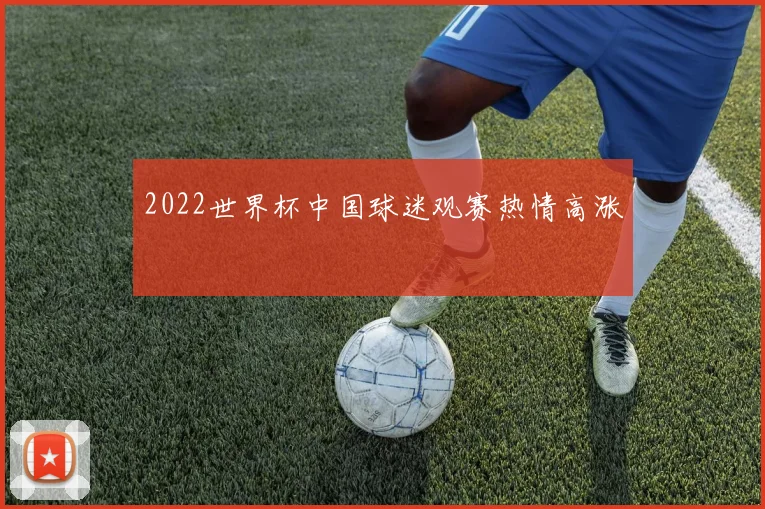 2022世界杯中国球迷观赛热情高涨