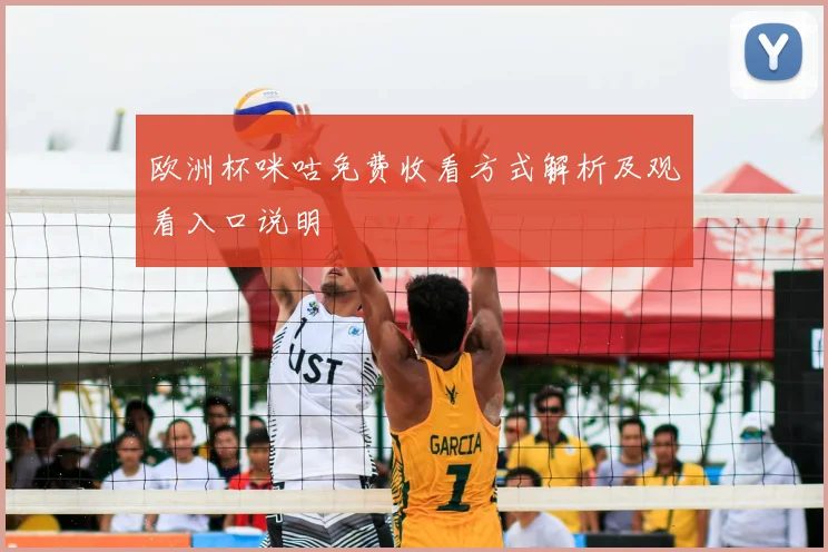欧洲杯咪咕免费收看方式解析及观看入口说明