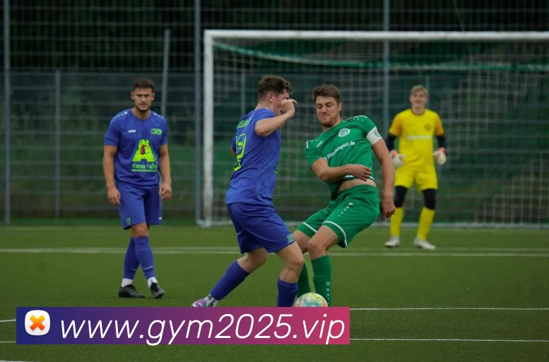 多媒体互动体验